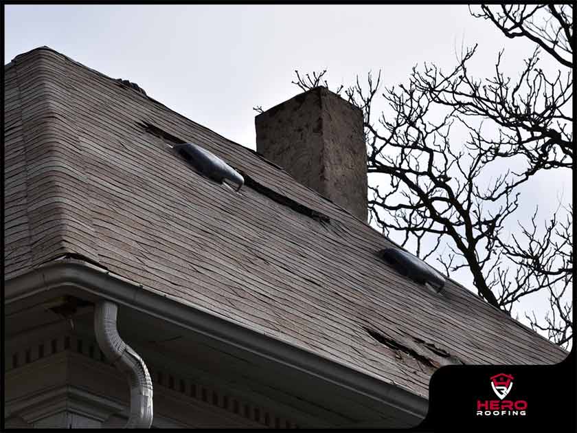 3 of the Most Damaging Debris to Your Roof