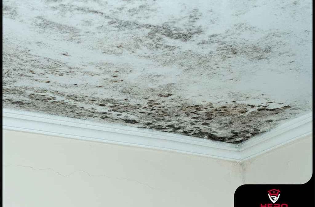 How Moisture Causes Damage to Your Roof