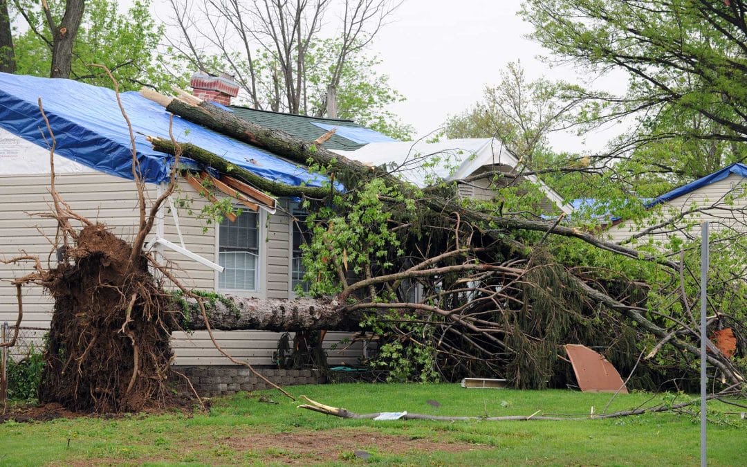 What to Do if a Storm Damages Your Roof in Newnan